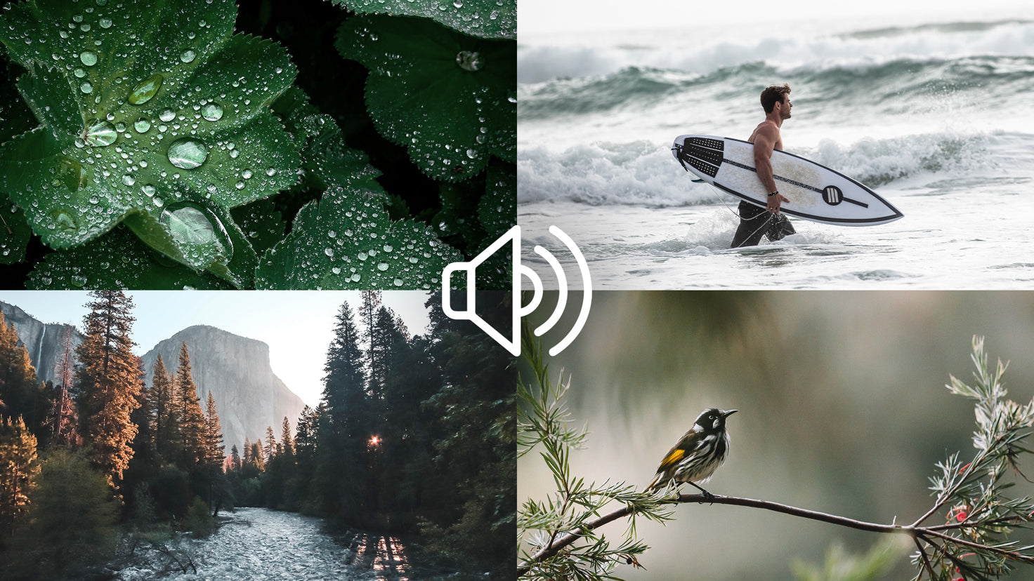 Centr Soundscapes to relax, focus & sleep