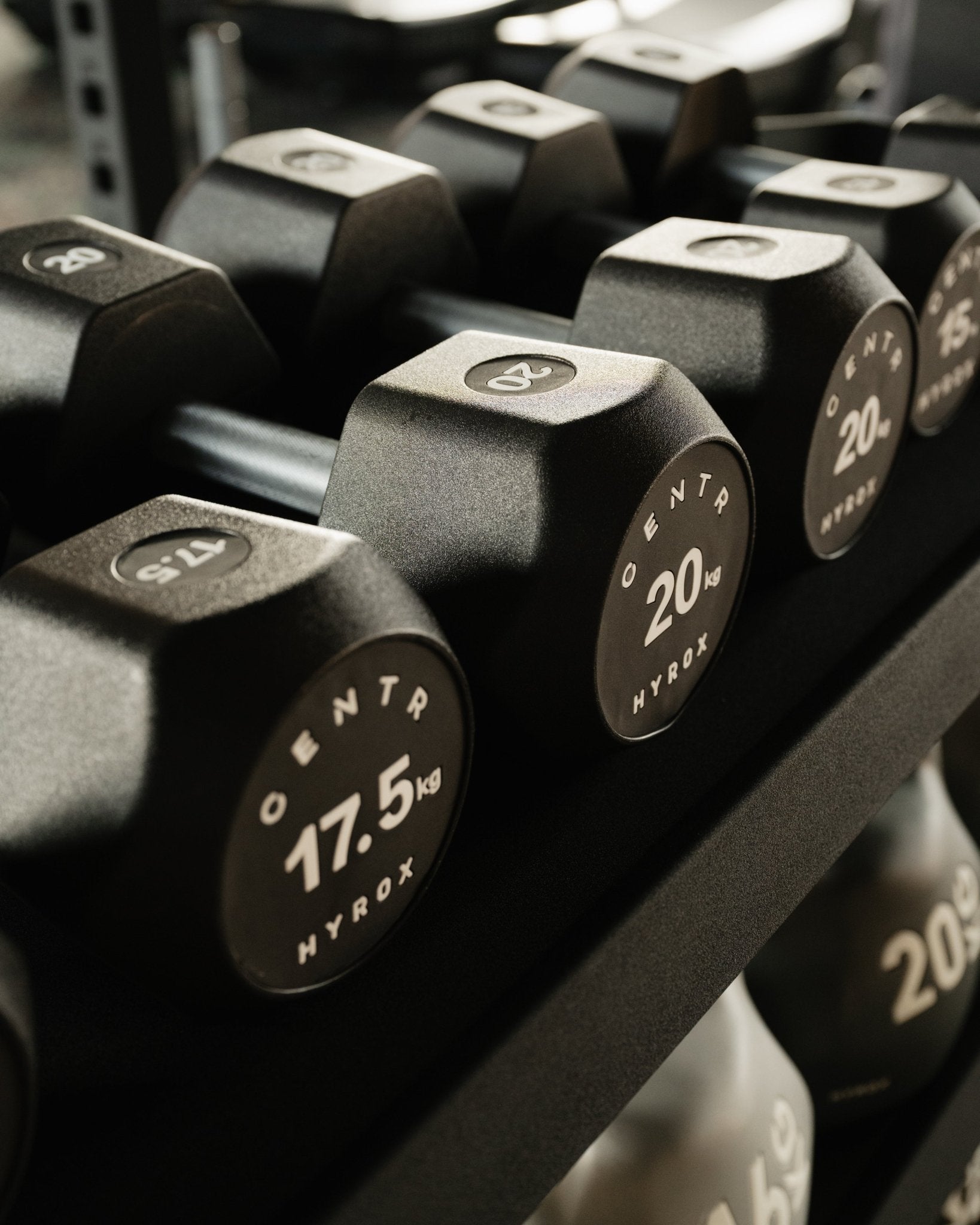 Centr x HYROX Commercial Dumbbells - Centrcentrllc