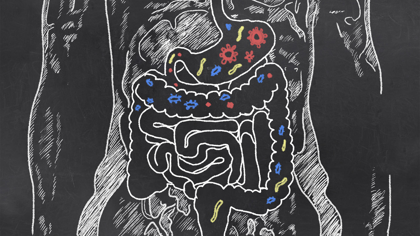 Everything you need to know about gut health - Centr