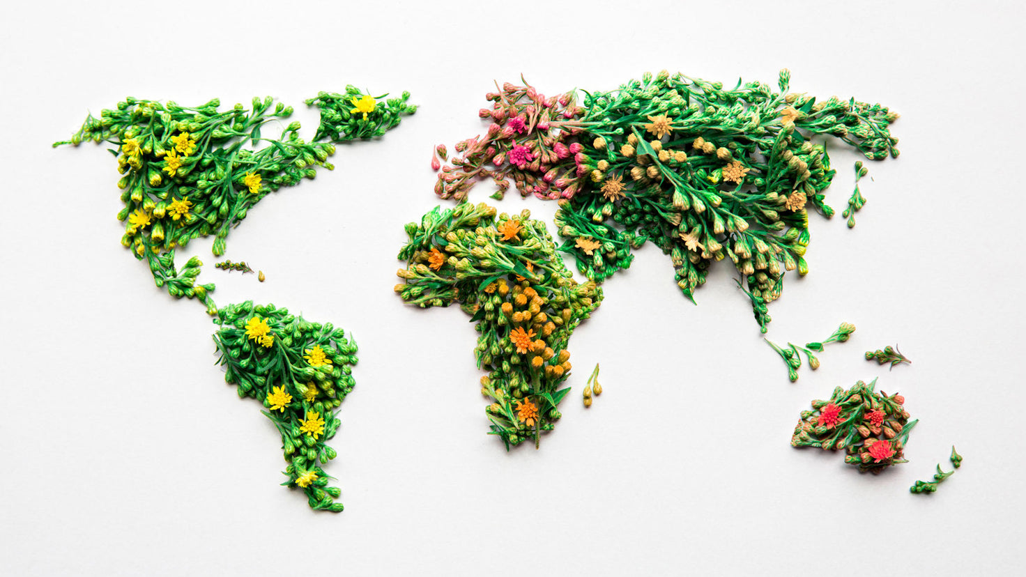 The continents of the world made out of bunches of flowers.