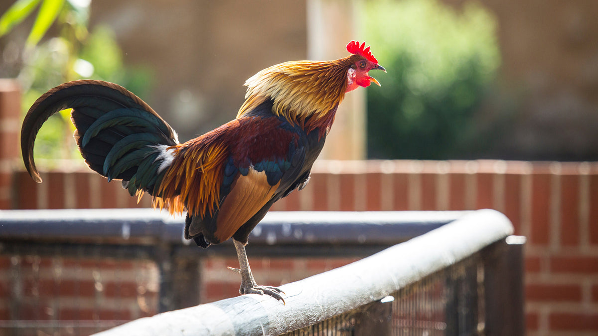 Are you confident or cocky? 4 ways to tell