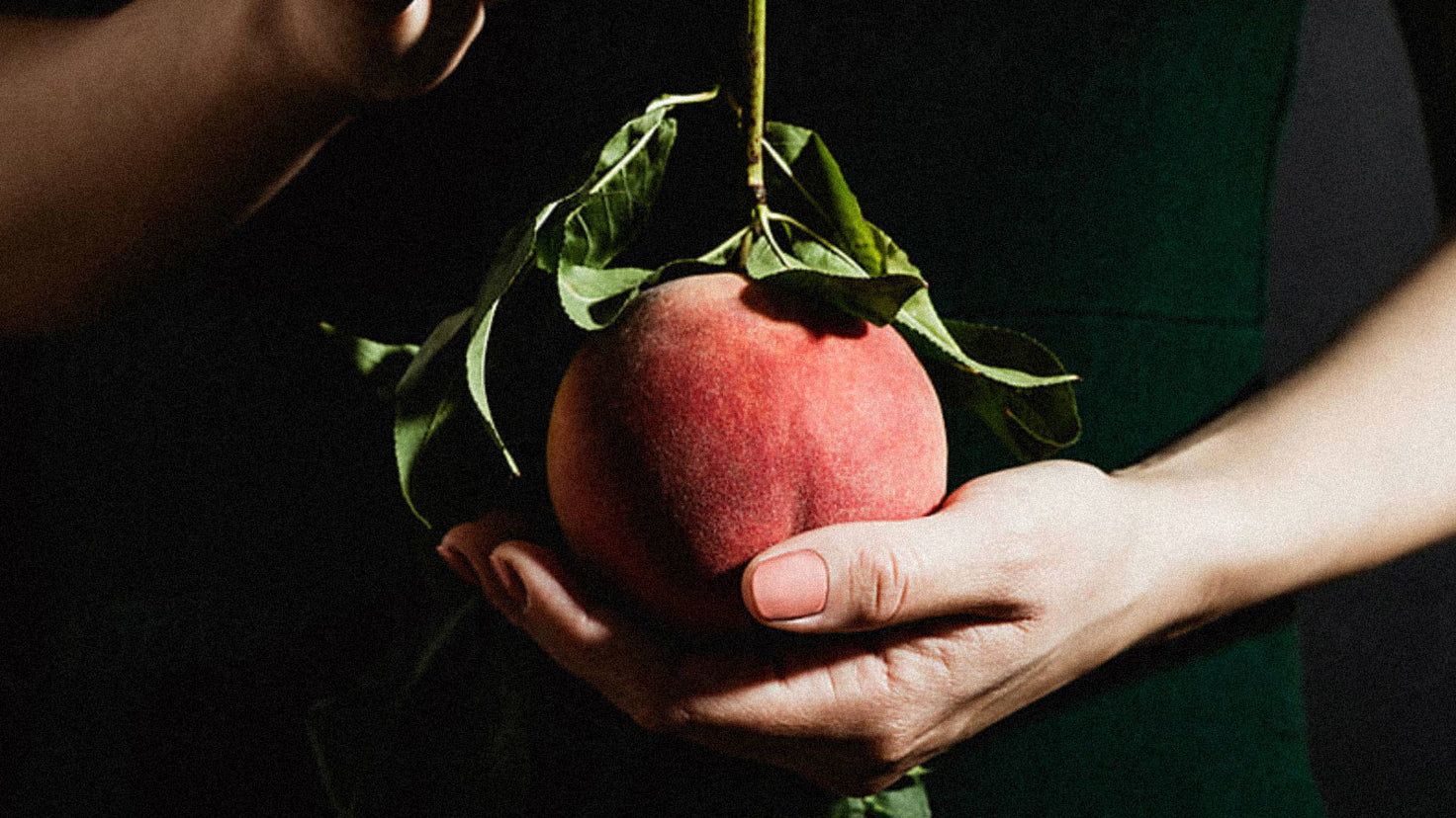 A close-up of hands craddling a furry peach.