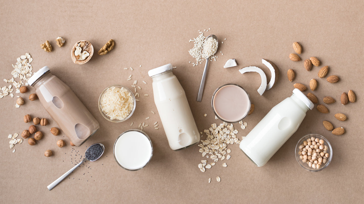 A flat lay of various plant-based milks and their ingredients, like oats, rice and almonds.