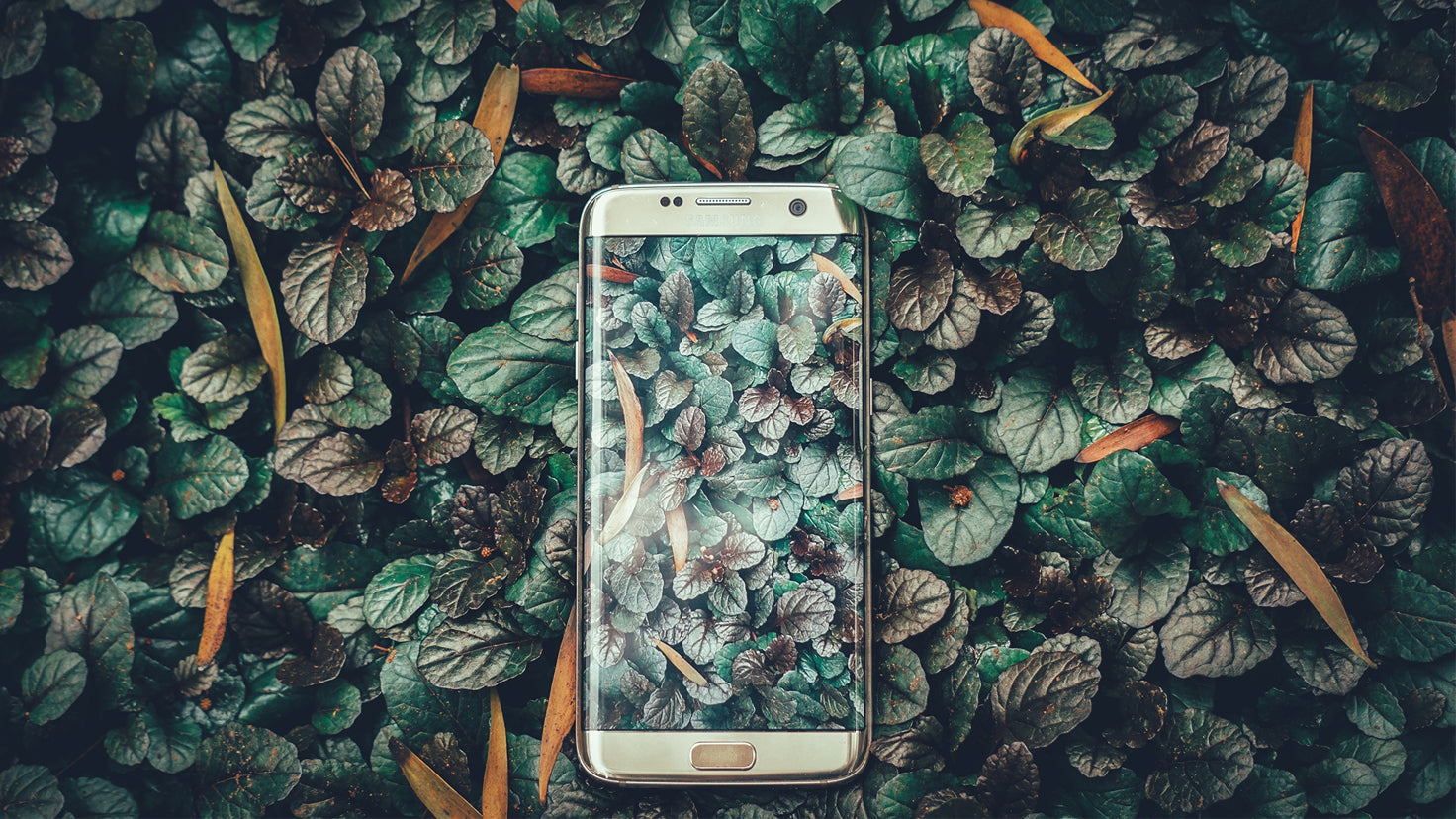A smart phone lying on a bed of leaves.