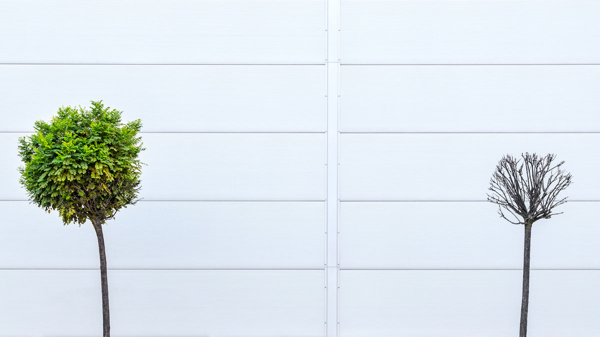 How to spot a friendship that’s dried up