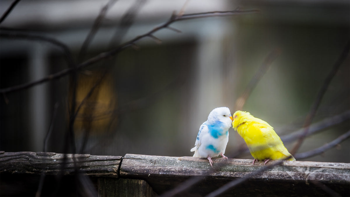 Is it time you saw your partner in a fresh light?