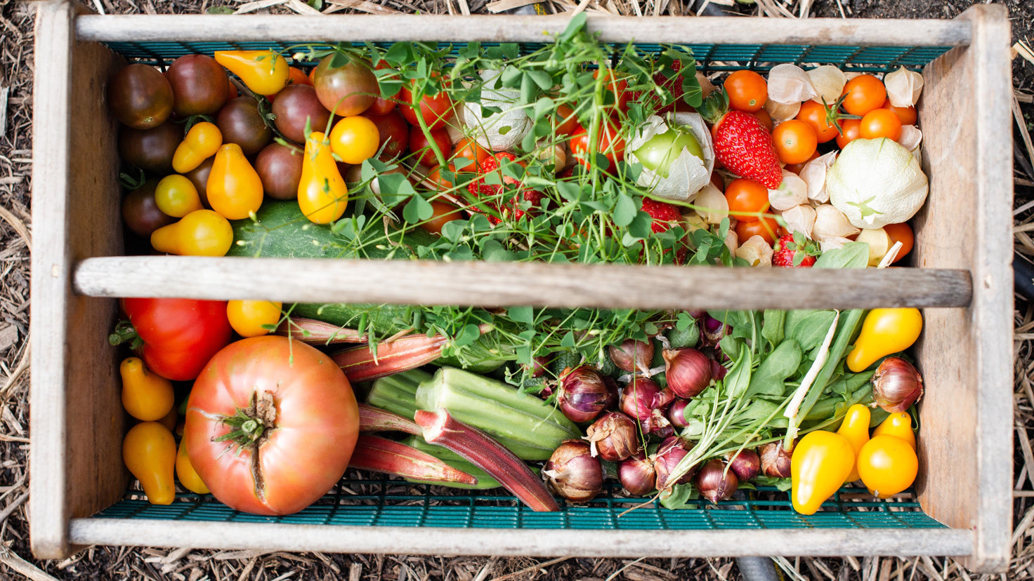 A photo of a wooden box with handles full of a range of colorful vegetables.
