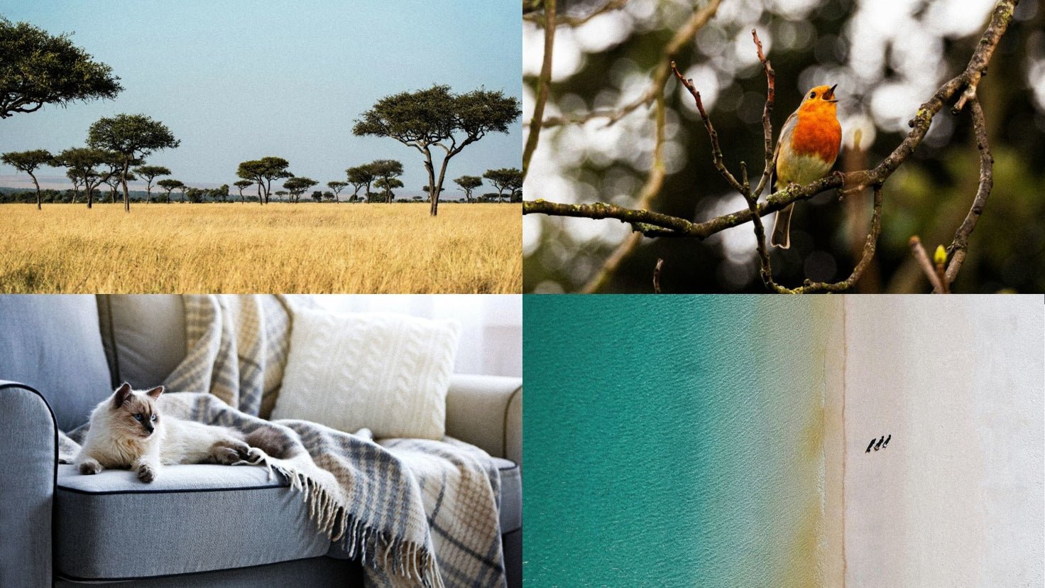 Reset and refocus with 6 new Soundscapes - Centr