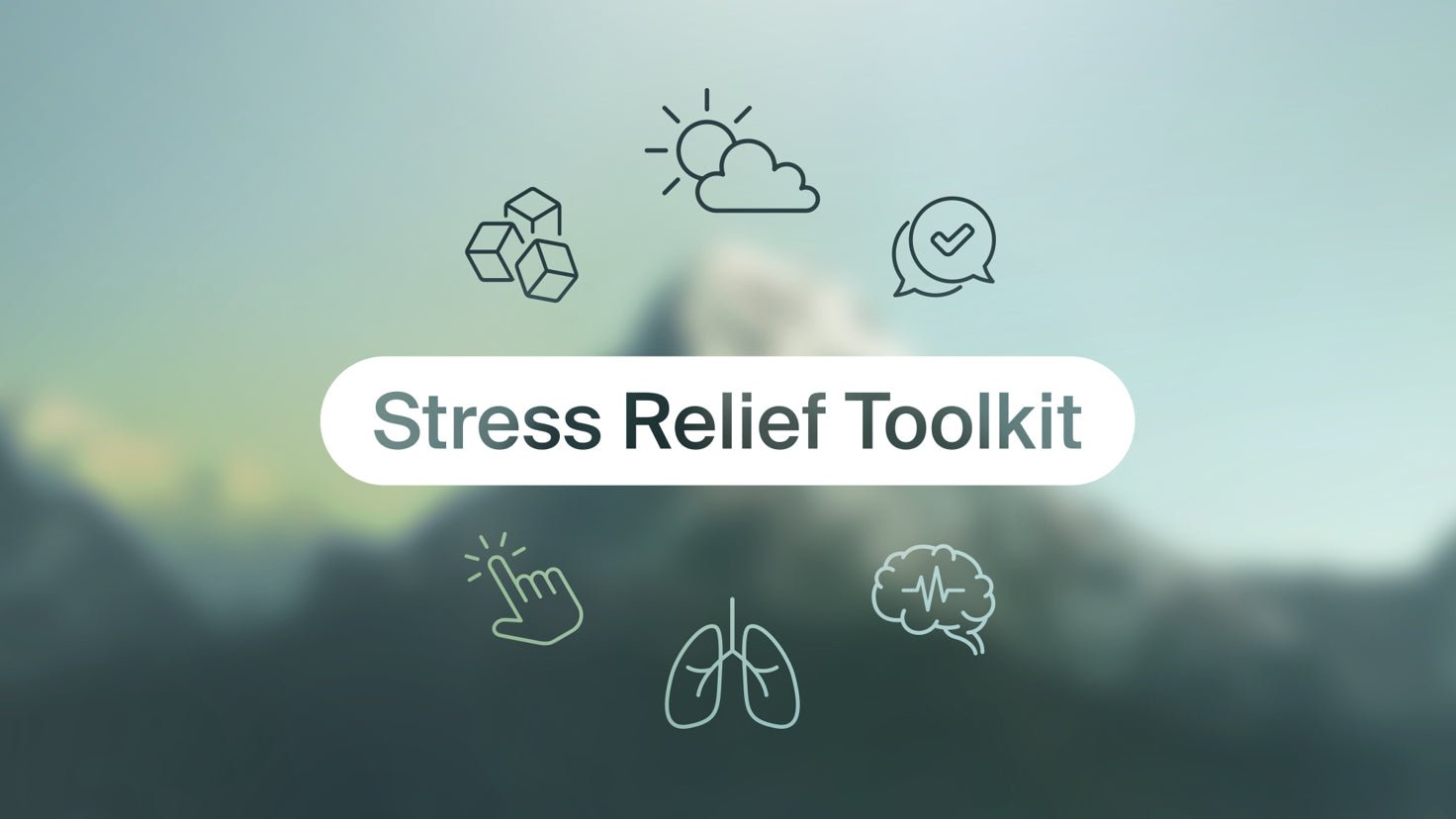 You're in for 7 days of less stress - Centr